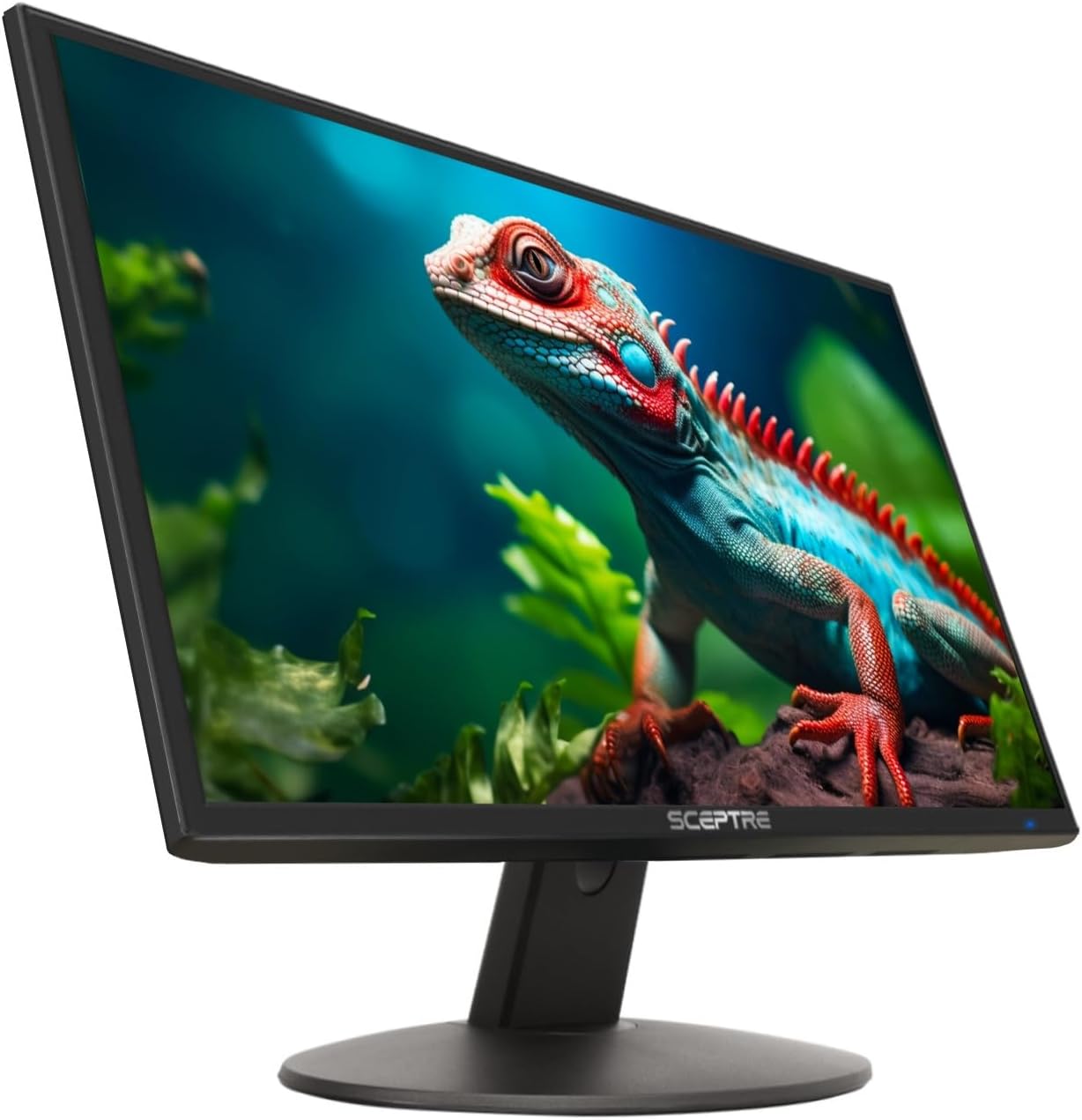 Sceptre 20" 1600x900 LED Monitor